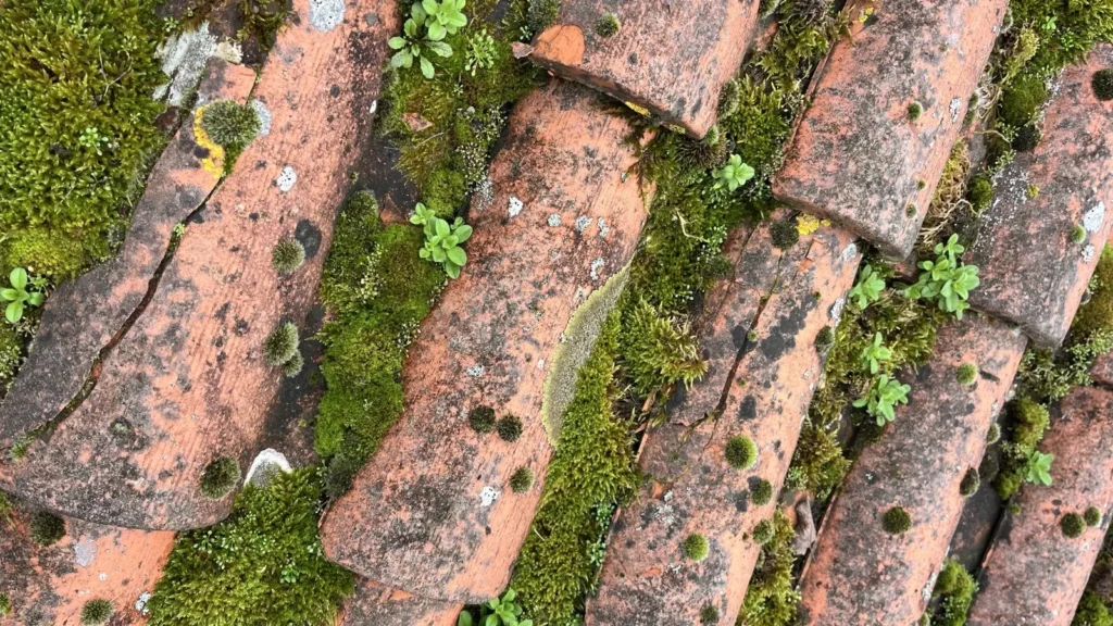 chantier 11 eyraud 4106 optimhome