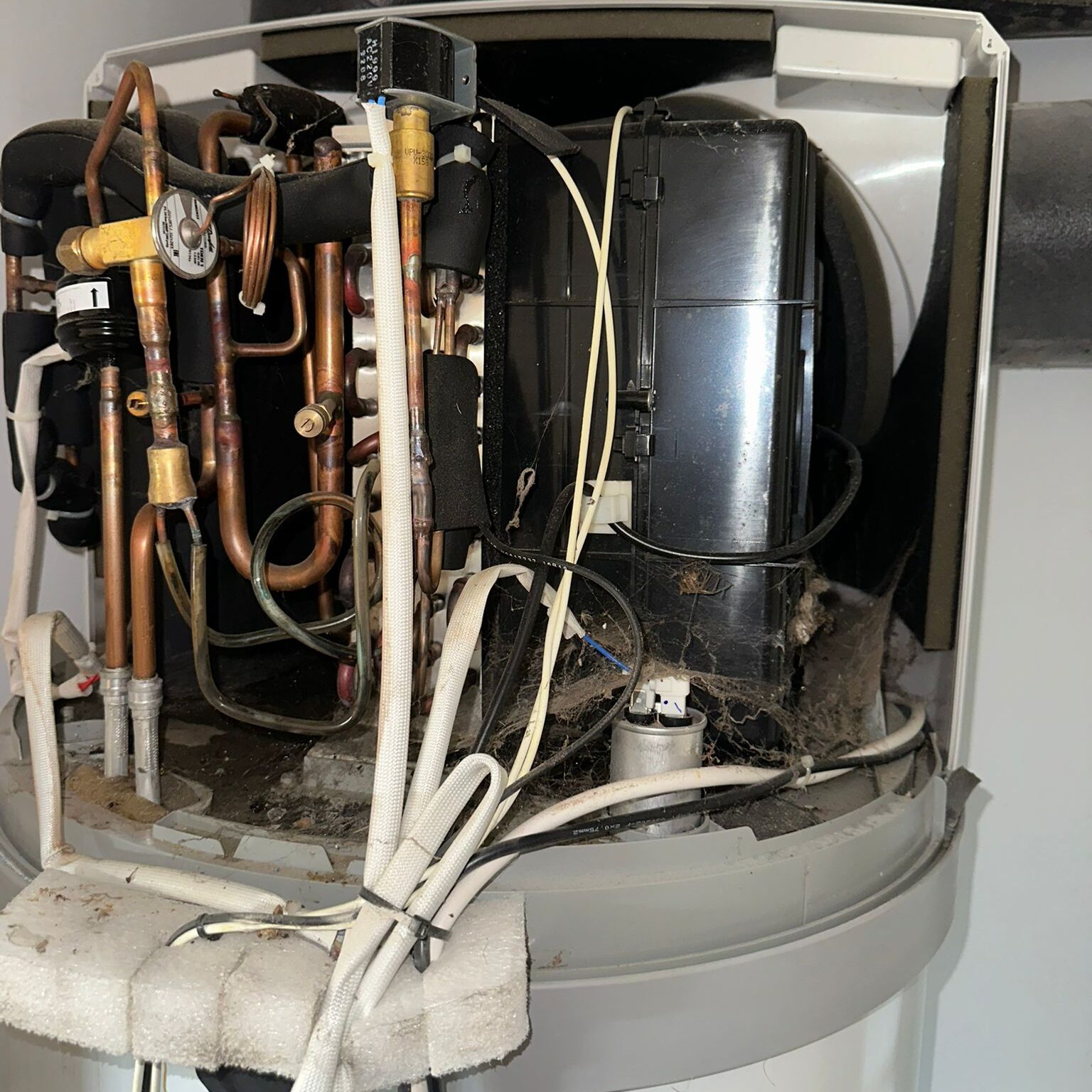 whatsapp image 2026 03 02 at 16.36.43