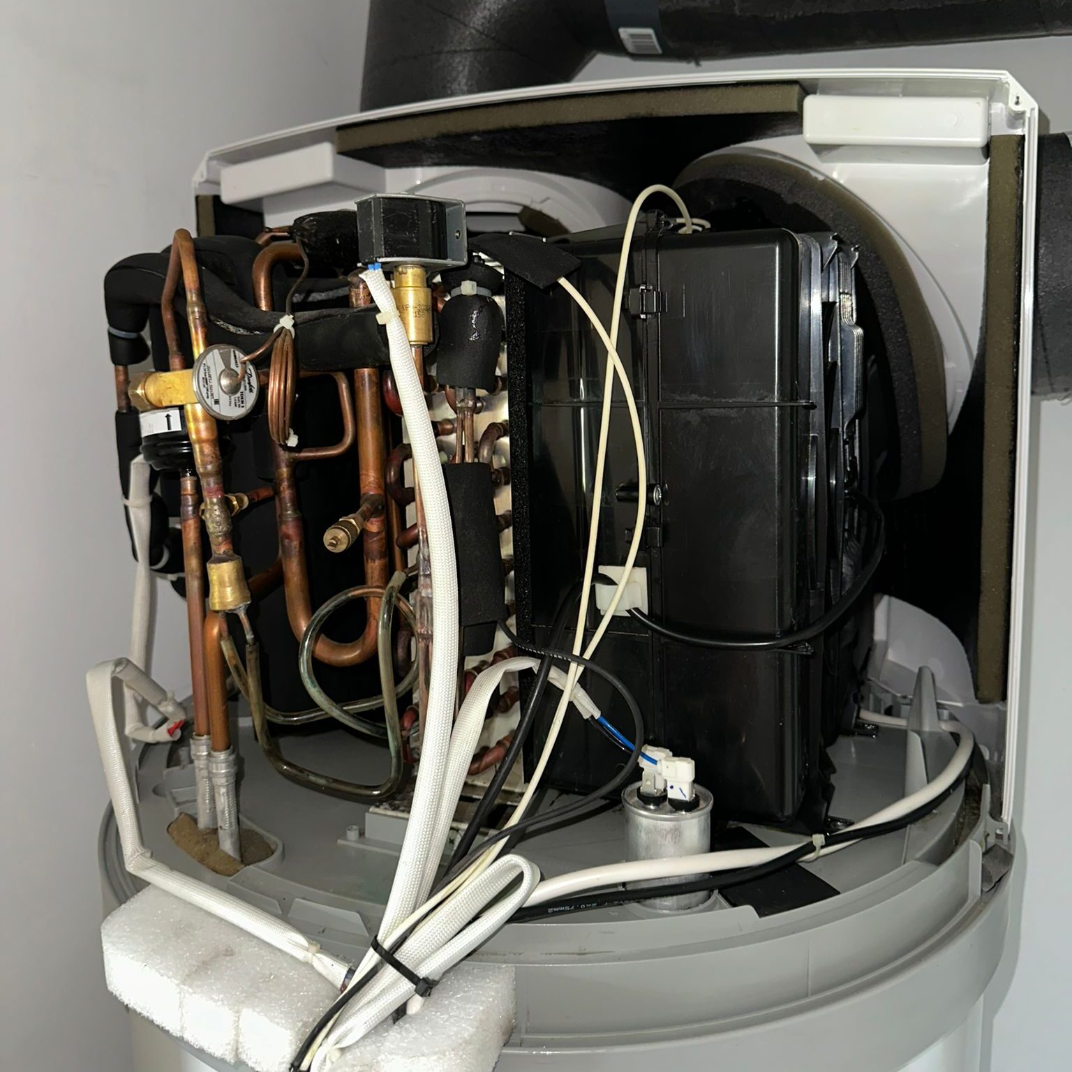 whatsapp image 2026 03 02 at 16.36.44 (1)