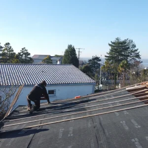 dji 0113