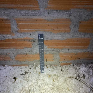 sylvette alonso 3 optimhome