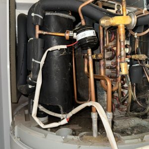 whatsapp image 2026 03 02 at 16.36.43 (1)