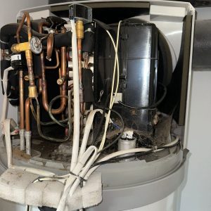 whatsapp image 2026 03 02 at 16.36.43